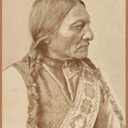 Living descendant of Sitting Bull confirmed by analysis of DNA from hair