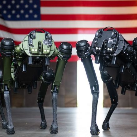 US Space Force tests robot dogs to patrol Cape Canaveral