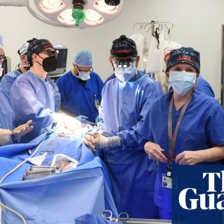 Man who received landmark pig heart transplant died of pig virus, surgeon says