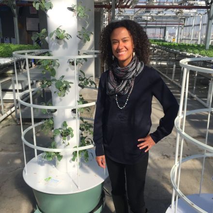 Vertical Garden Towers Can Grow Plants Three Times Faster Than Normal