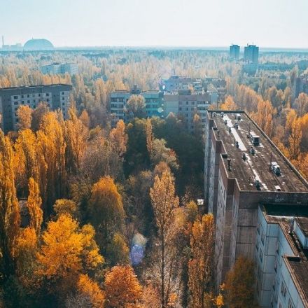 Chernobyl Nuclear Area Became an Ecological Success and One of Europe’s Largest Nature Preserves