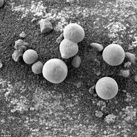 Life on Mars? NASA's Curiosity rover snaps photos of mushrooms