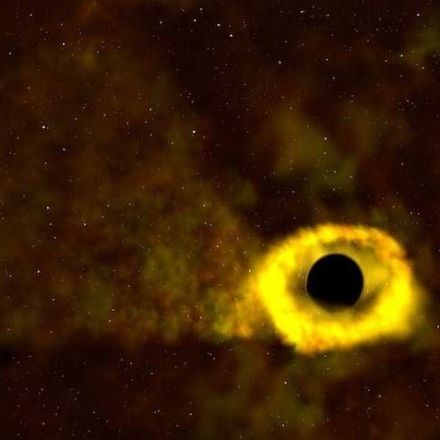NASA Just Recorded A Black Hole Devour A Sun-Sized Star For The First Time Ever