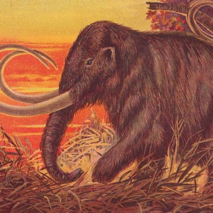 Woolly mammoths are making a comeback. Should we eat them?