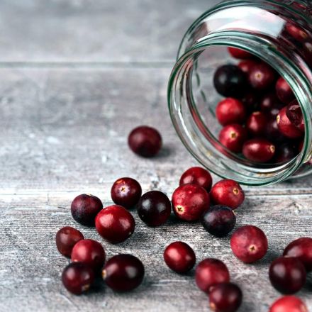 Daily dose of cranberries can 'dramatically' boost memory, ward off dementia, and even lower cholesterol