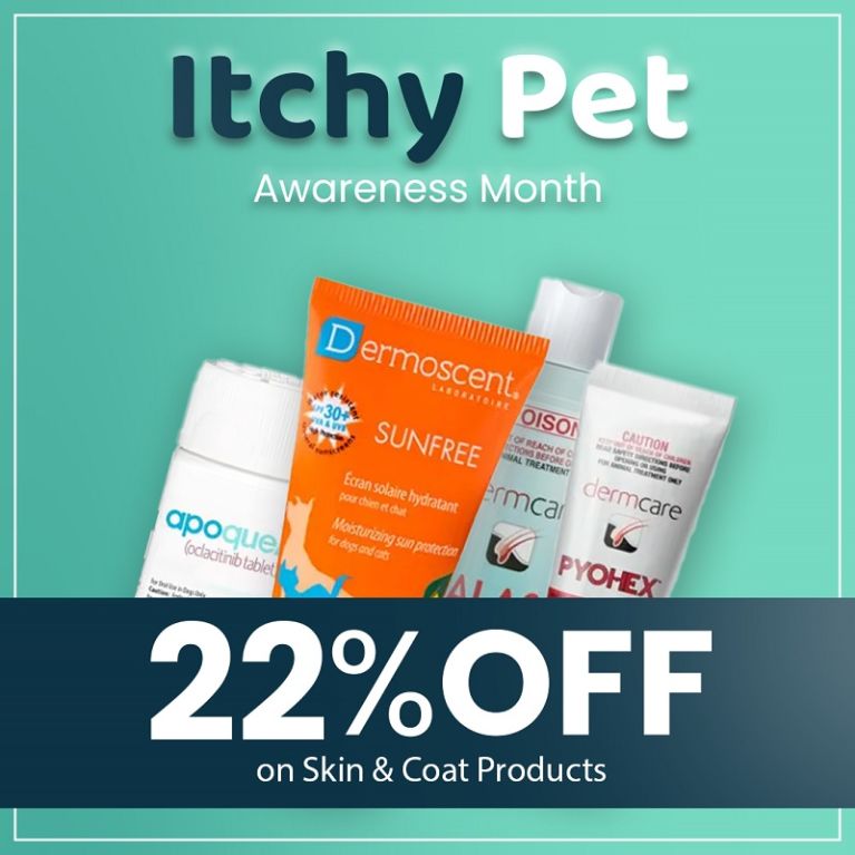 Itchy pet awareness month- petcareclub