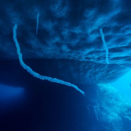 Deepest Dive Under Antarctica Reveals a Shockingly Vibrant World