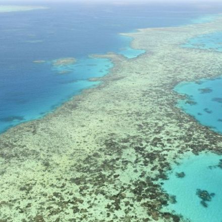 Australia opposes U.N. "in danger" listing of Great Barrier Reef