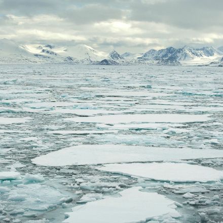 Arctic sea ice hits second-lowest winter peak on record