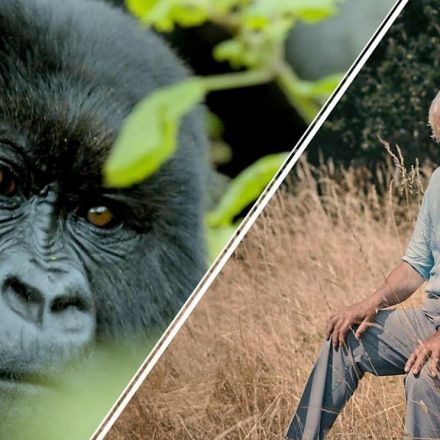 Attenborough makes stark warning on extinction